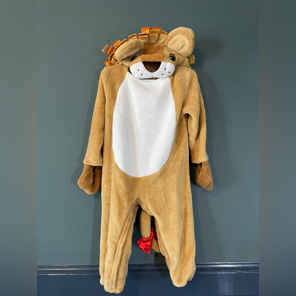 Lion Costume Onesie